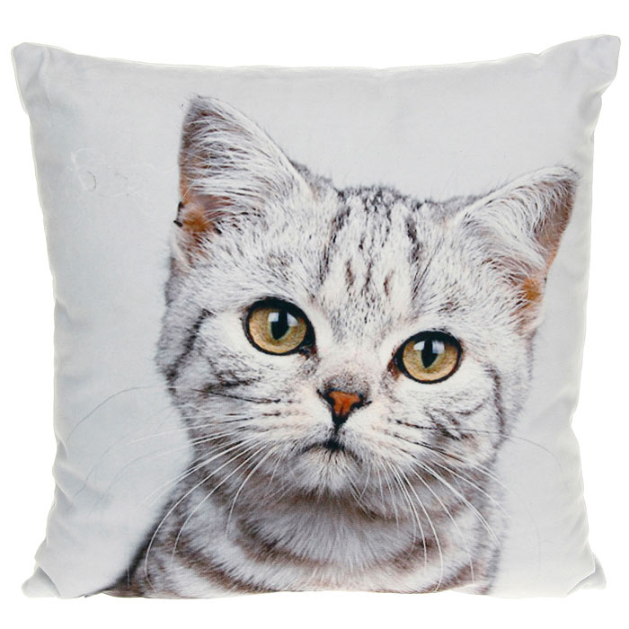 J.D.-cat-cushion